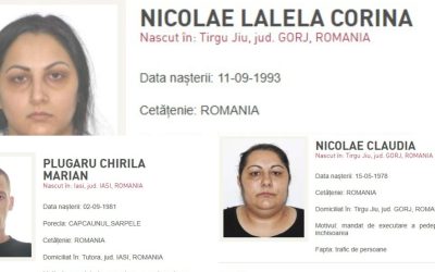 5-1-scaled.jpg - StiriFresh