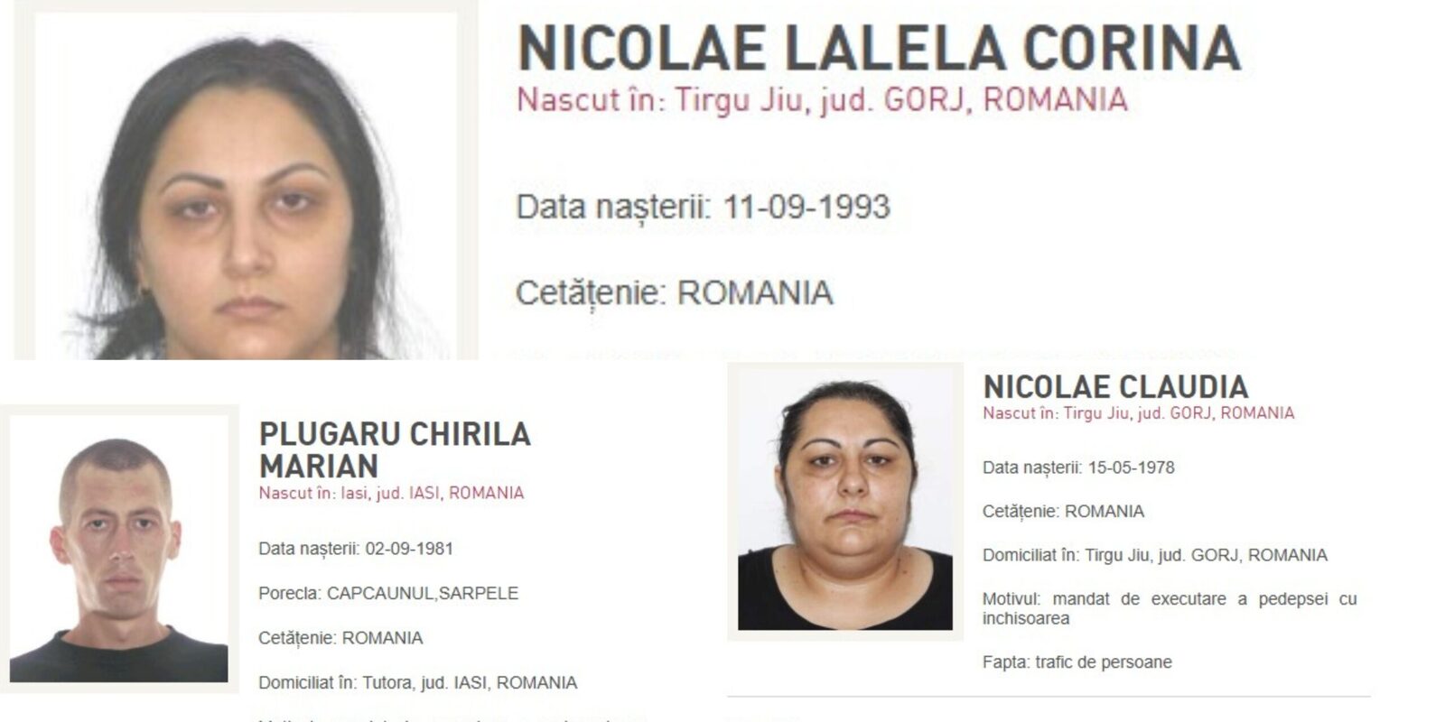 Poliția Română a reușit în ultimele zile să aducă în țară șapte persoane urmărite internațional, printre care și un individ inclus în lista celor mai căutați