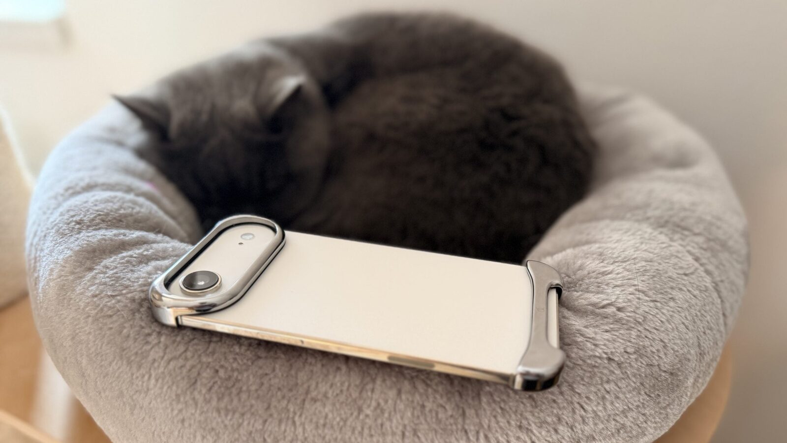Motivul erorilor în aplicațiile iPhone după actualizare