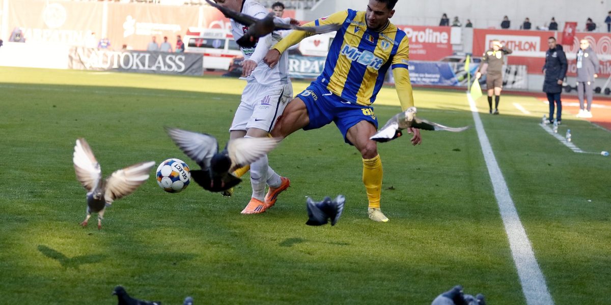 Petrolul Ploiești 0-0, Live Text Online, în etapa 21 din Superliga