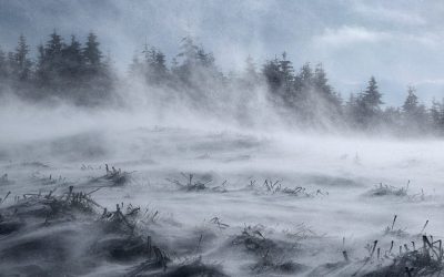 cod-galben-viscol-munte-iarna-ninsoare-e1643266955426.jpg - StiriFresh