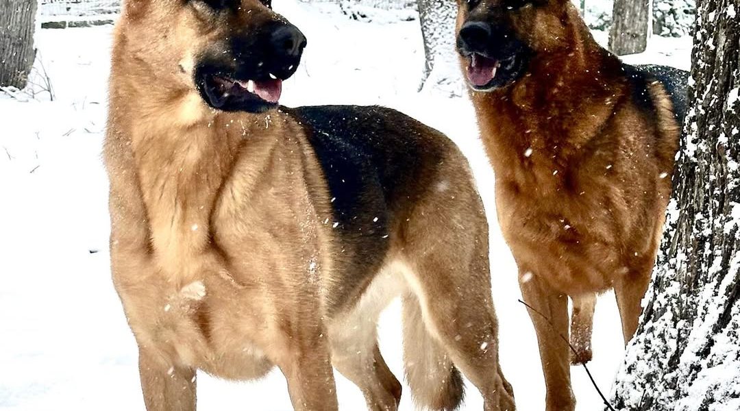 614862386_1473170691474745_5015169552524529986_n.jpg - StiriFresh