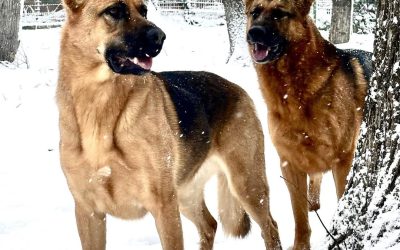 614862386_1473170691474745_5015169552524529986_n.jpg - StiriFresh