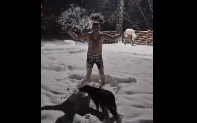 Heius-in-Zapada-3.jpg - StiriFresh