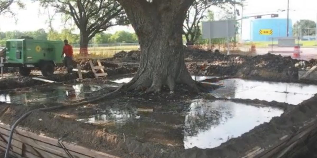 Taiat.jpg - StiriFresh