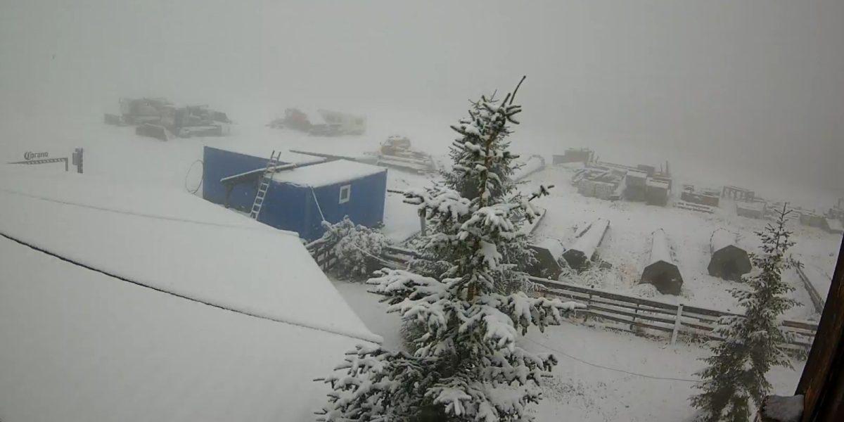 WhatsApp-Image-2025-09-29-at-10.14.41.jpeg - StiriFresh