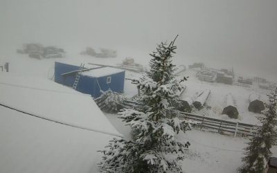 WhatsApp-Image-2025-09-29-at-10.14.41.jpeg - StiriFresh