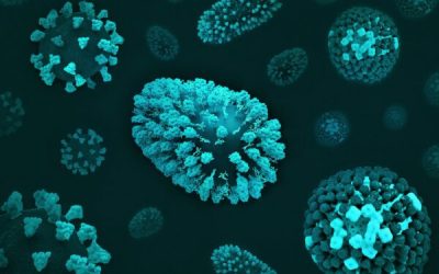 admin-ajax-5-1.jpeg - StiriFresh