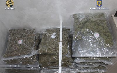 canabis.jpeg - StiriFresh