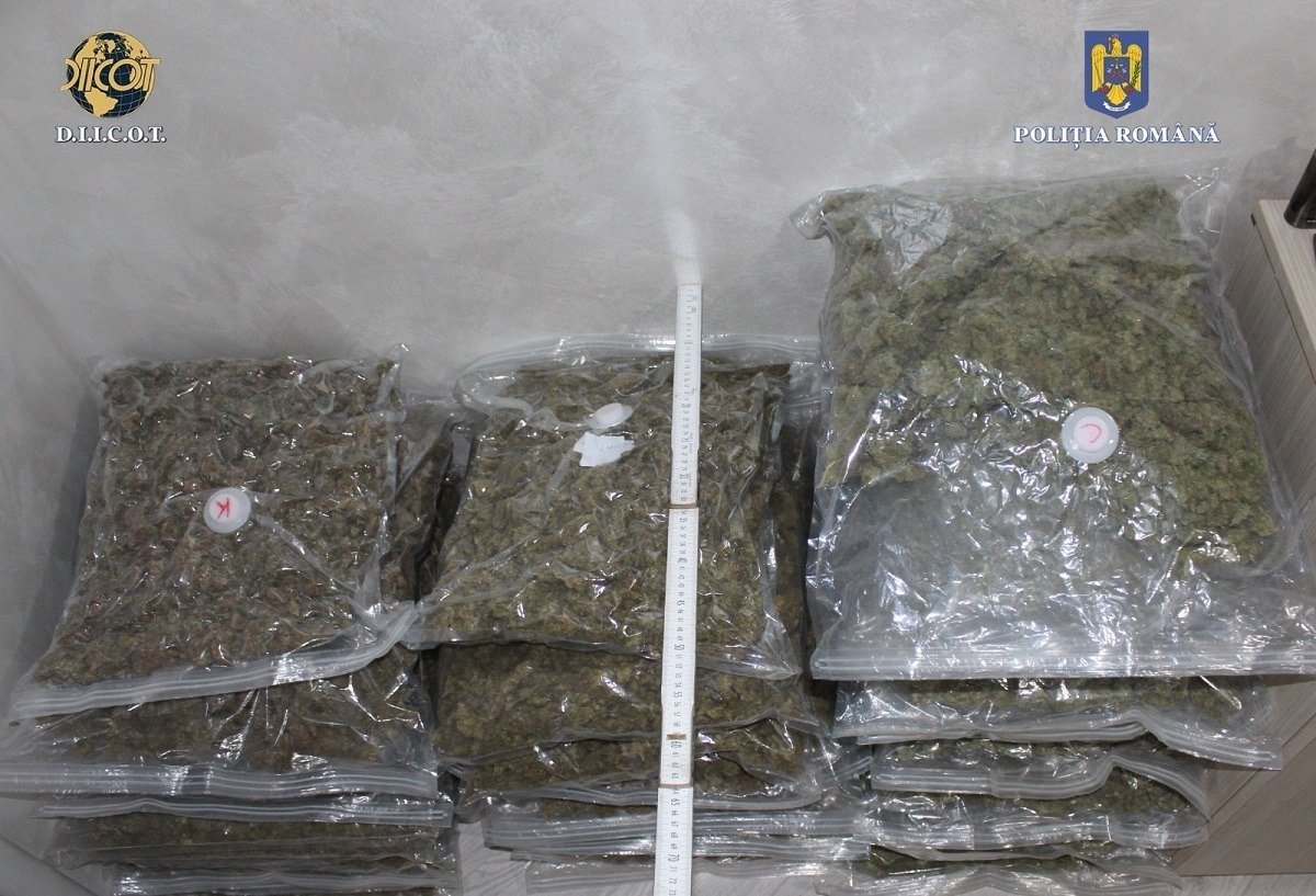 A fost descoperită o nouă cantitate semnificativă de droguri în Vrancea, în cadrul unei anchete care vizează traficul internațional de stupefiante
