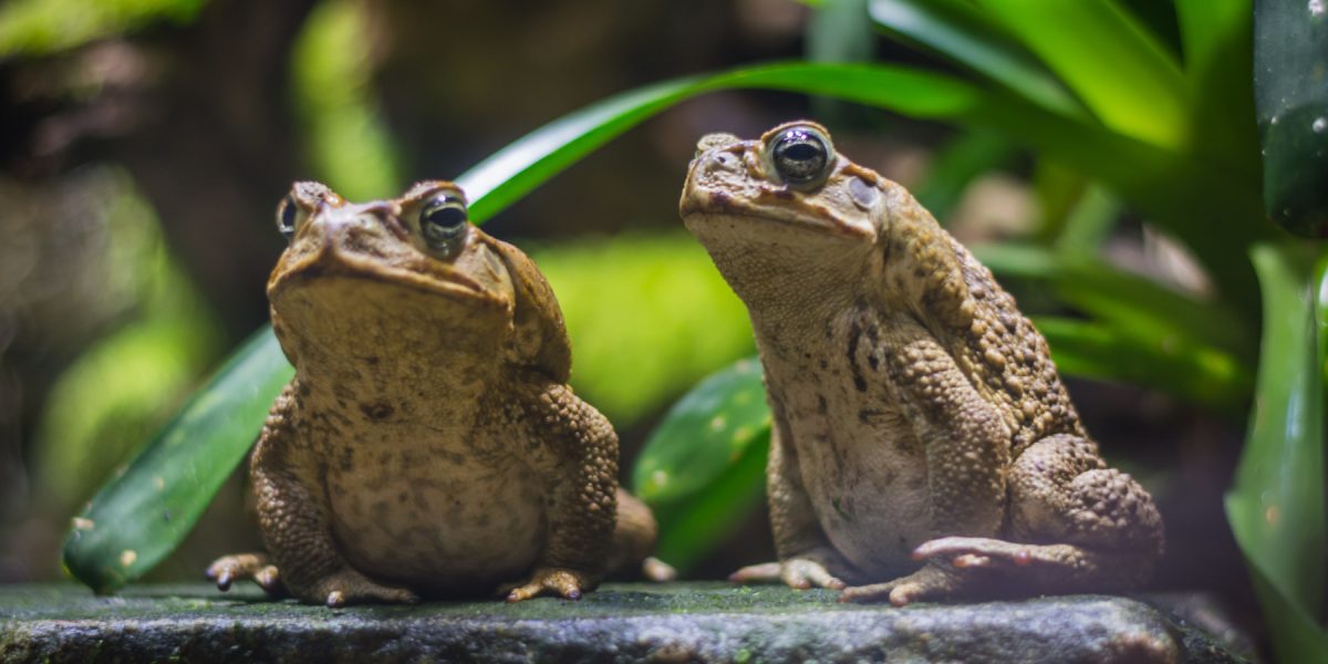 dreamstime_xl_123690325.jpg - StiriFresh