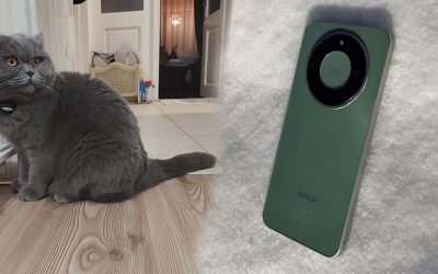 intro-1-scaled.jpg - StiriFresh