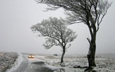 ireland-ge90926f96_1280.jpg - StiriFresh