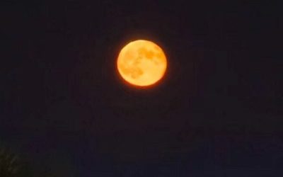 luna-4-e1767379918868.jpg - StiriFresh