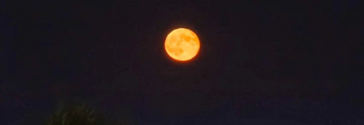 luna-4-e1767379918868.jpg - StiriFresh