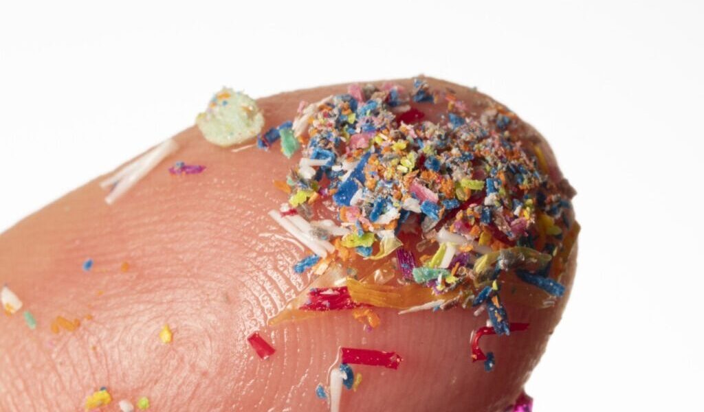 microplastice-e1724489538371.jpg - StiriFresh