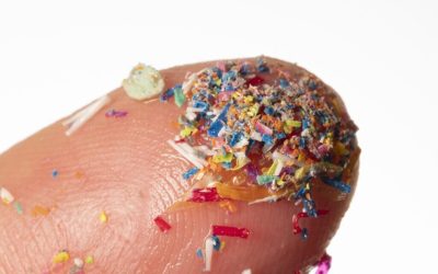 microplastice-e1724489538371.jpg - StiriFresh