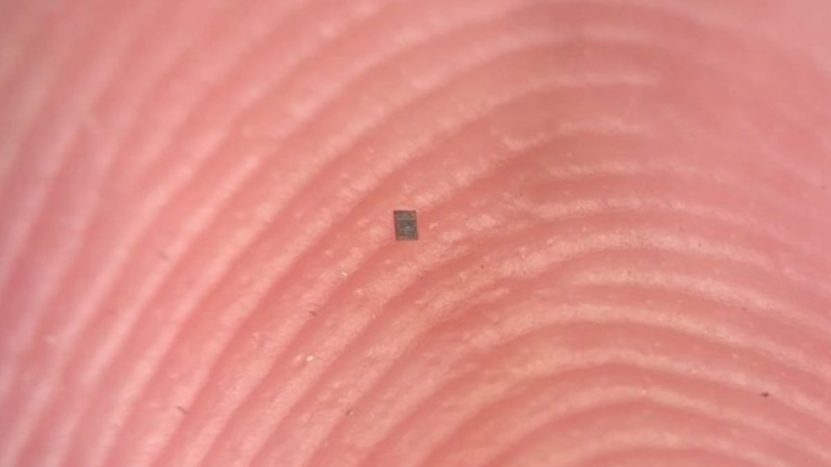 Un pas uriaș în domeniul nanotehnologiei: cel mai mic robot programabil din lume, de fapt aproape invizibil cu ochiul liber, a fost recent creat de o echipă de ingineri și cercetători din Statele Unite