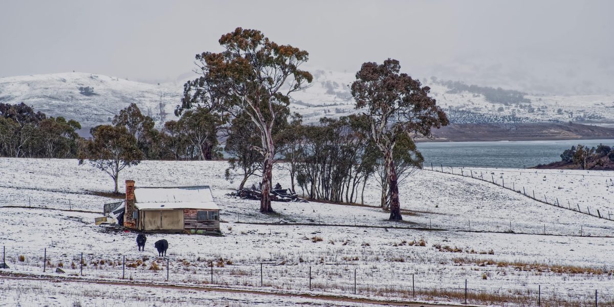 pexels-mark-thomas-2149938474-30979871.jpg - StiriFresh