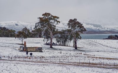 pexels-mark-thomas-2149938474-30979871.jpg - StiriFresh