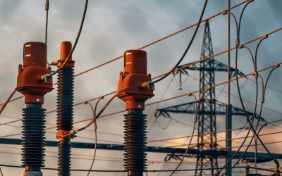 pexels-michael-pointner-134459625-28912010-scaled.jpg - StiriFresh