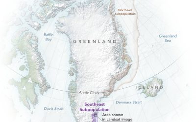 polarbears_greenland_map_2022_lrg.jpg - StiriFresh
