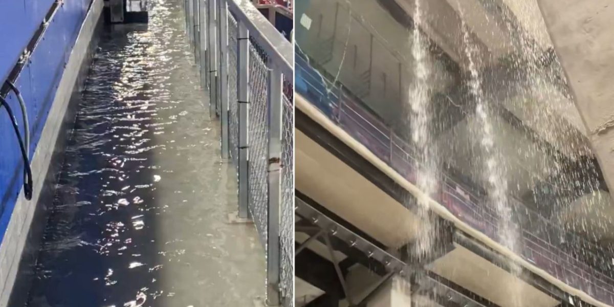 poza-2.jpg - StiriFresh