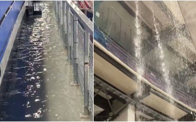 poza-2.jpg - StiriFresh