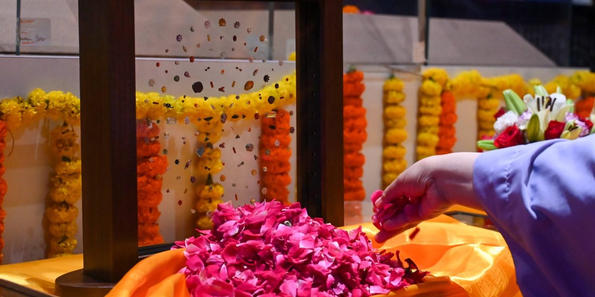 profimedia-1026803337.jpg - StiriFresh