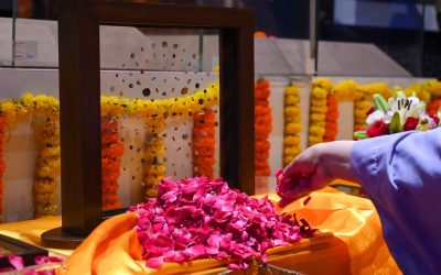 profimedia-1026803337.jpg - StiriFresh