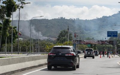 profimedia-1063013059.jpg - StiriFresh