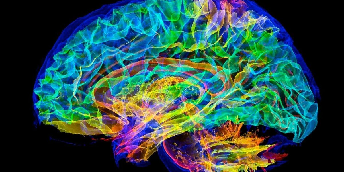 simulare-creier-uman-supercomputer.jpg - StiriFresh