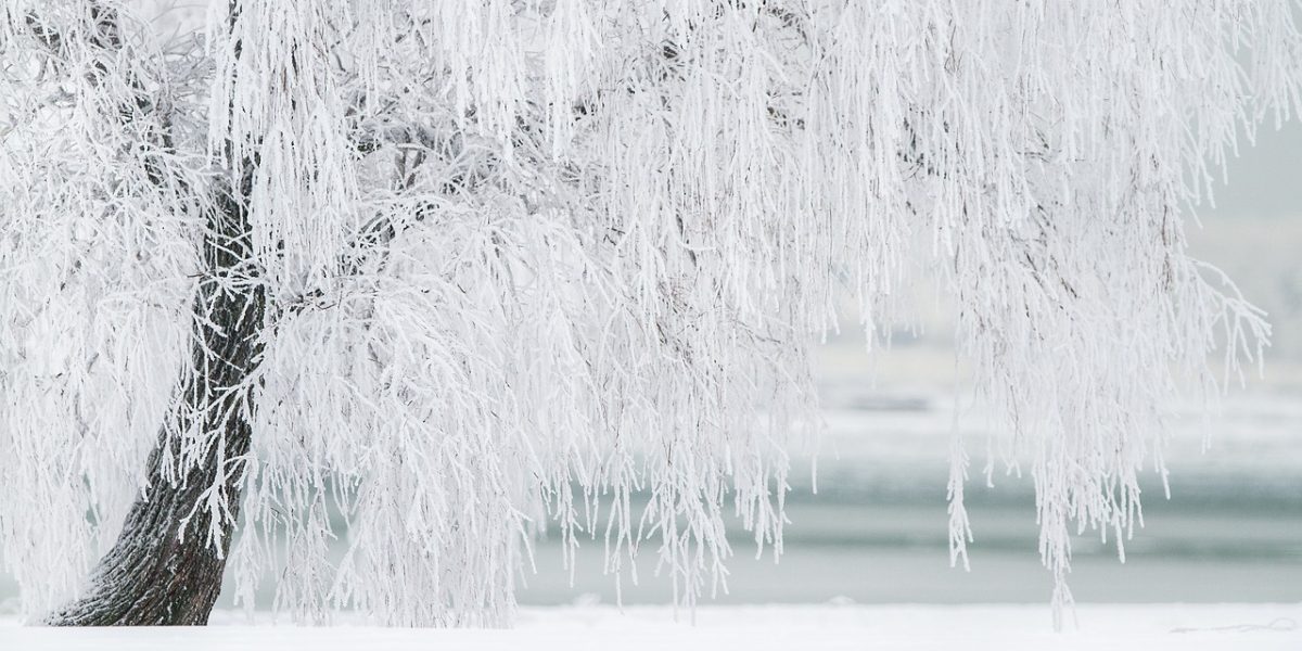 winter-1367153_1280.jpg - StiriFresh