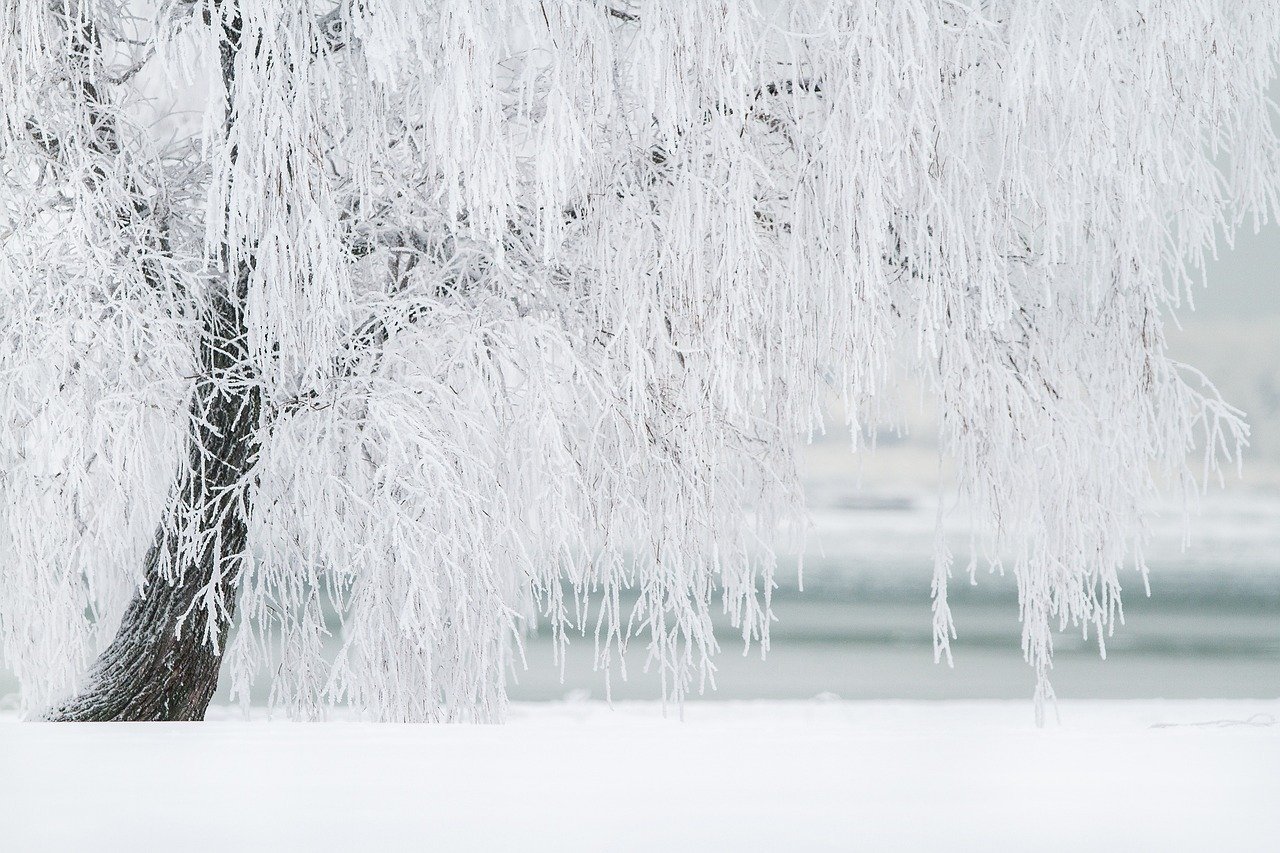România se află sub amenințarea unei noi perioade de ninsori și temperaturi scăzute, în contextul unor avertizări meteo emise duminică de Administrația Națională de Meteorologie (ANM)