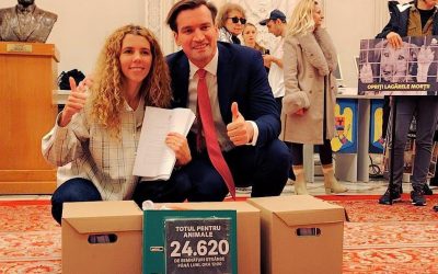 „Ora cu și pentru Animale” devine materie opțională în școlile din România Începând din acest an școlar, „Ora cu și pentru Animale” a fost introdusă ca materie opțională în școlile din întreaga țară