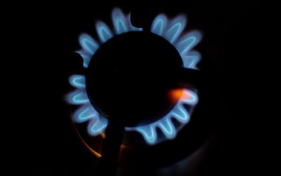 82003c33-ec60-4449-9f50-49bc4fdab088.jpg - StiriFresh