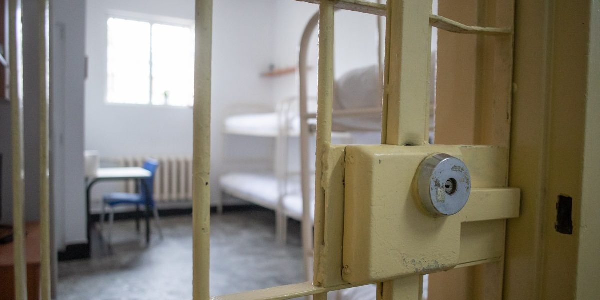 FB1A1141.jpg - StiriFresh