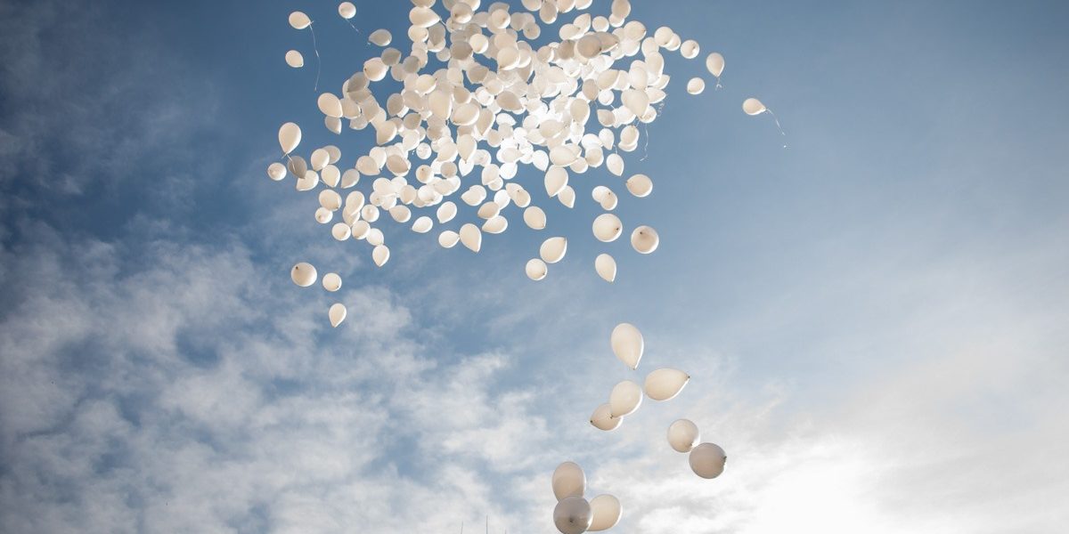 FB1A1660.jpg - StiriFresh