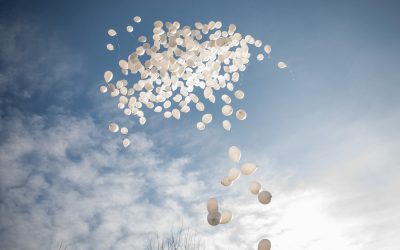 FB1A1660.jpg - StiriFresh