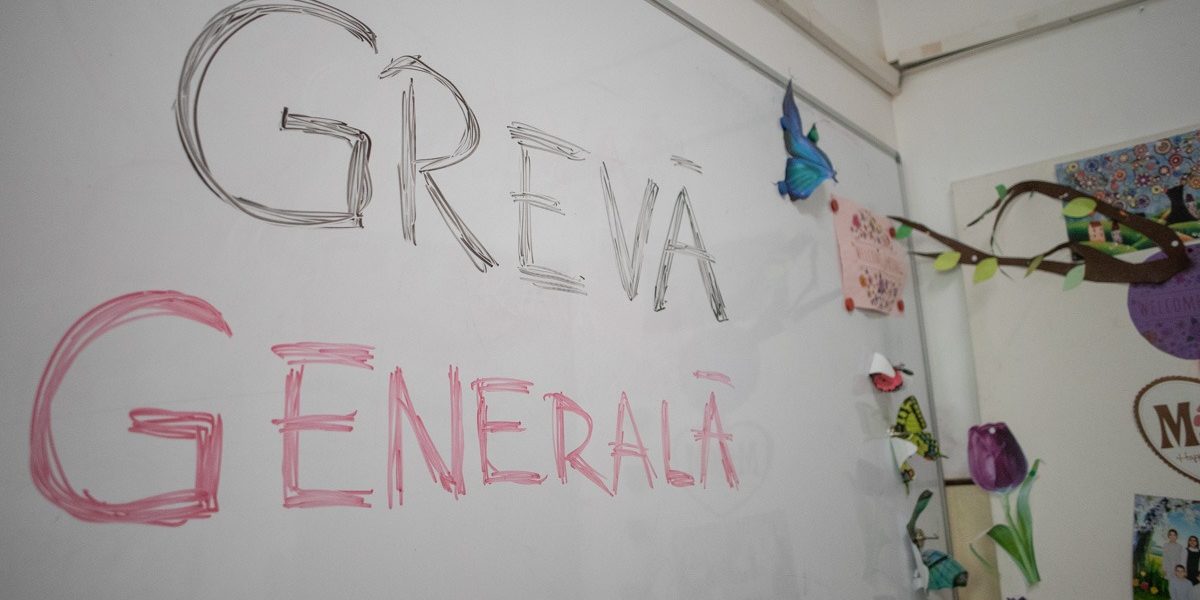 FB1A2402.jpg - StiriFresh