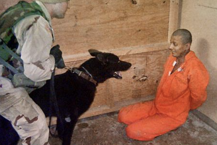 Screenshot-2024-11-12-at-22.31.31.png - StiriFresh