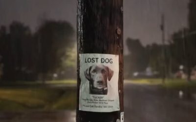 Monopolul asupra informației se fragmentează: cum companiile private preiau controlul datelor de securitate națională Într-un peisaj dominat până recent de controlul strict al statului asupra informațiilor sensibile, realitatea actuală indicatorii evoluției tehnologice și a pieței private de date