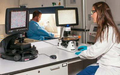 România face un pas important spre integrarea în standardele europene în domeniul radiologiei medicale, odată cu aprobarea recentă a unei metodologii de organizare a examenului european pentru obținerea titlului de medic specialist în radiologie și imagistică medicală