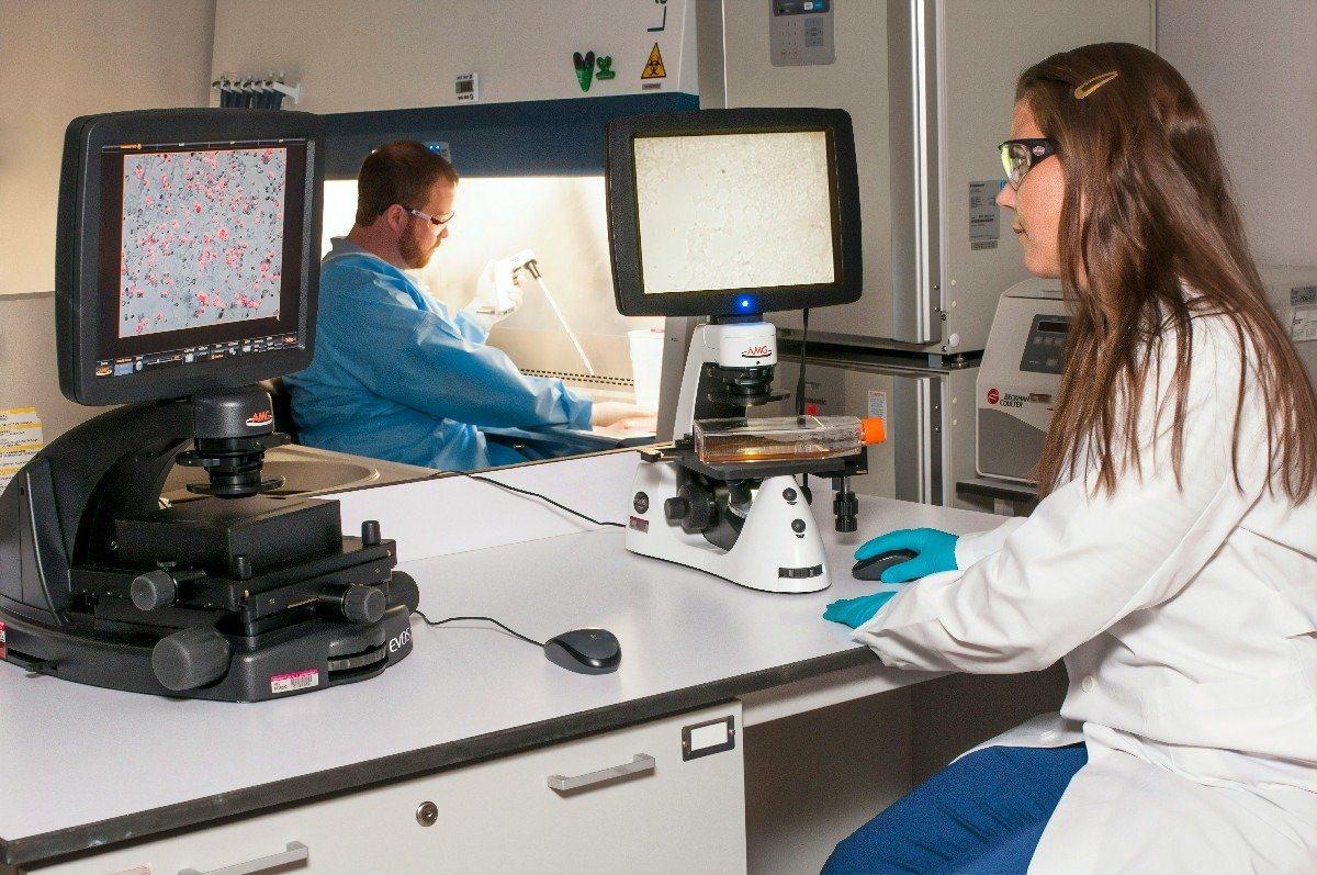 România face un pas important spre integrarea în standardele europene în domeniul radiologiei medicale, odată cu aprobarea recentă a unei metodologii de organizare a examenului european pentru obținerea titlului de medic specialist în radiologie și imagistică medicală