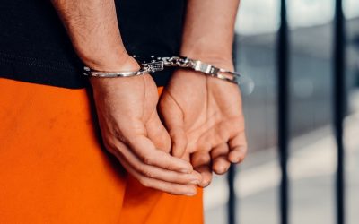 catuse.jpg - StiriFresh