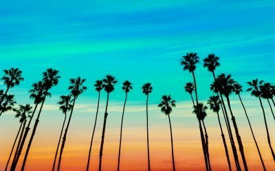 Rezidenții unui complex nudist din California, refugiu istoric al libertății corporale, trăiesc momente tensionate după ce proprietarii au sistat alimentarea cu energie electrică