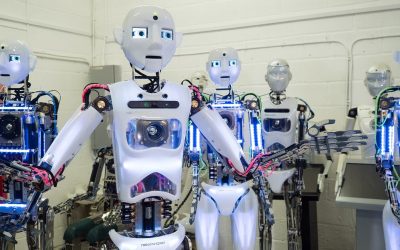 fabrica-de-roboti.jpg - StiriFresh