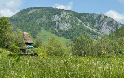 foto-apuseni-sursa-g4media-e1688459569191.jpg - StiriFresh