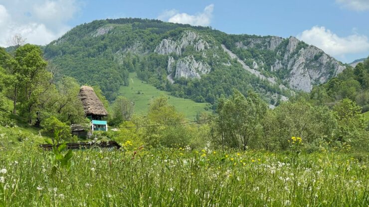 foto-apuseni-sursa-g4media-e1688459569191.jpg - StiriFresh