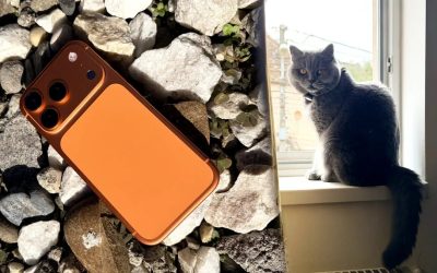 Apple a încheiat anul 2022 cu cel mai bun trimestru din istoria companiei, raportând vânzări record de iPhone-uri și venituri fără precedent